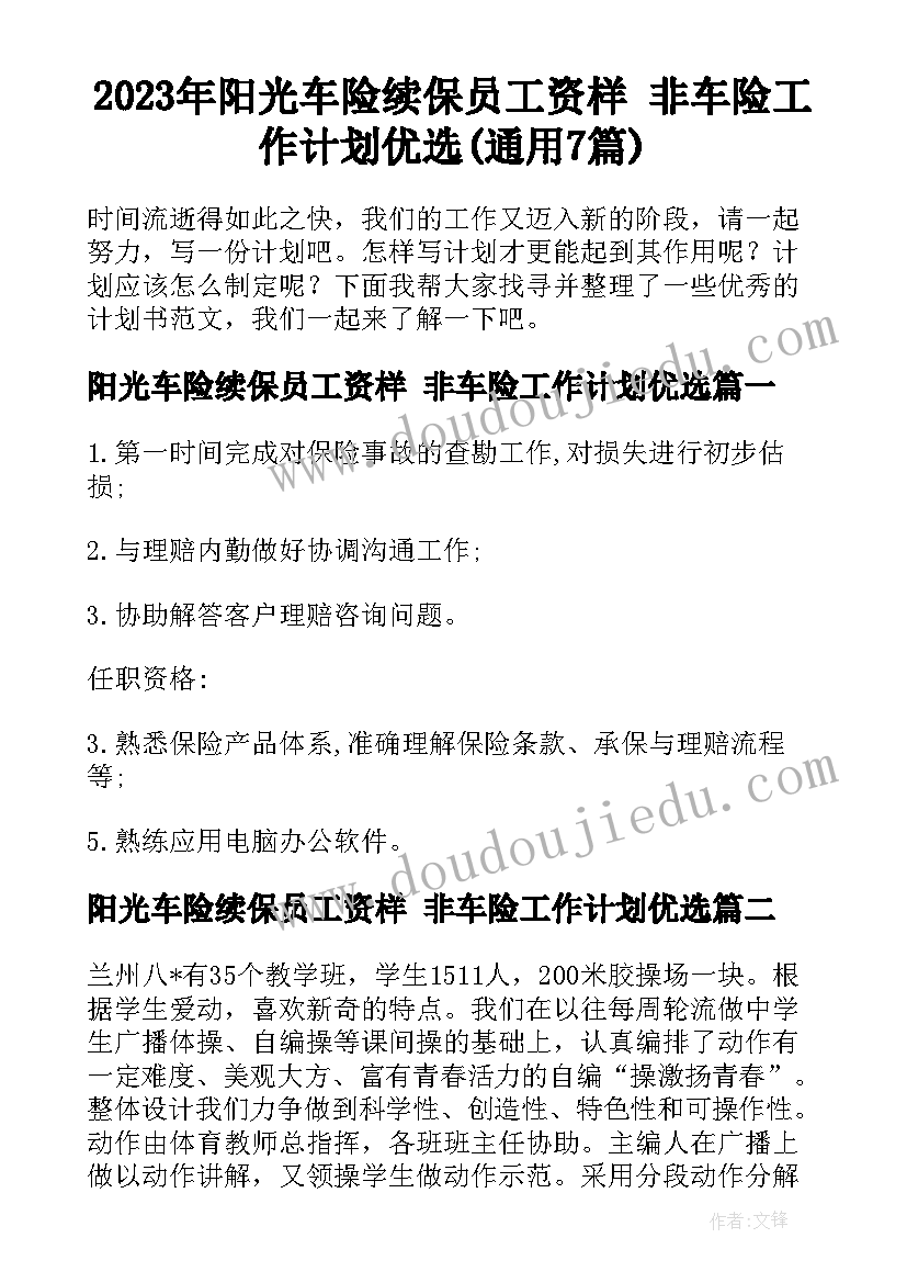 2023年阳光车险续保员工资样 非车险工作计划优选(通用7篇)