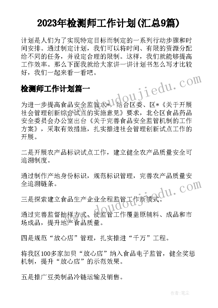 2023年检测师工作计划(汇总9篇)