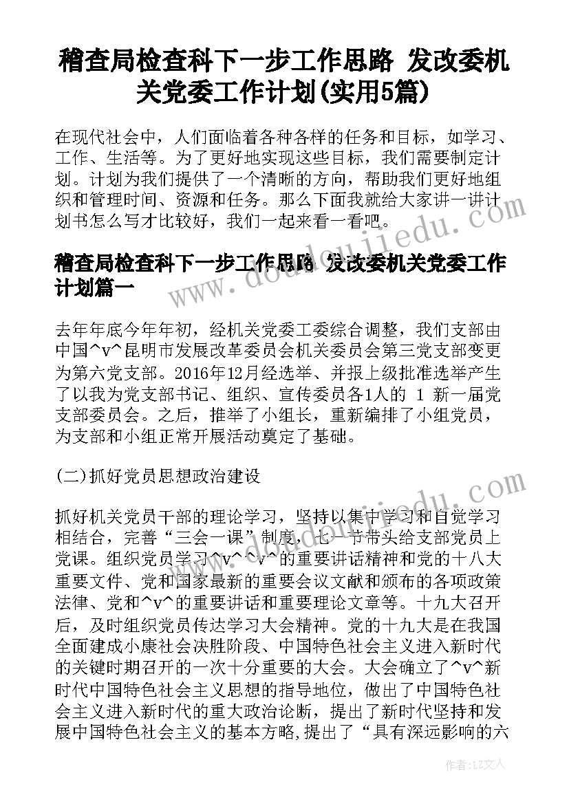 稽查局检查科下一步工作思路 发改委机关党委工作计划(实用5篇)