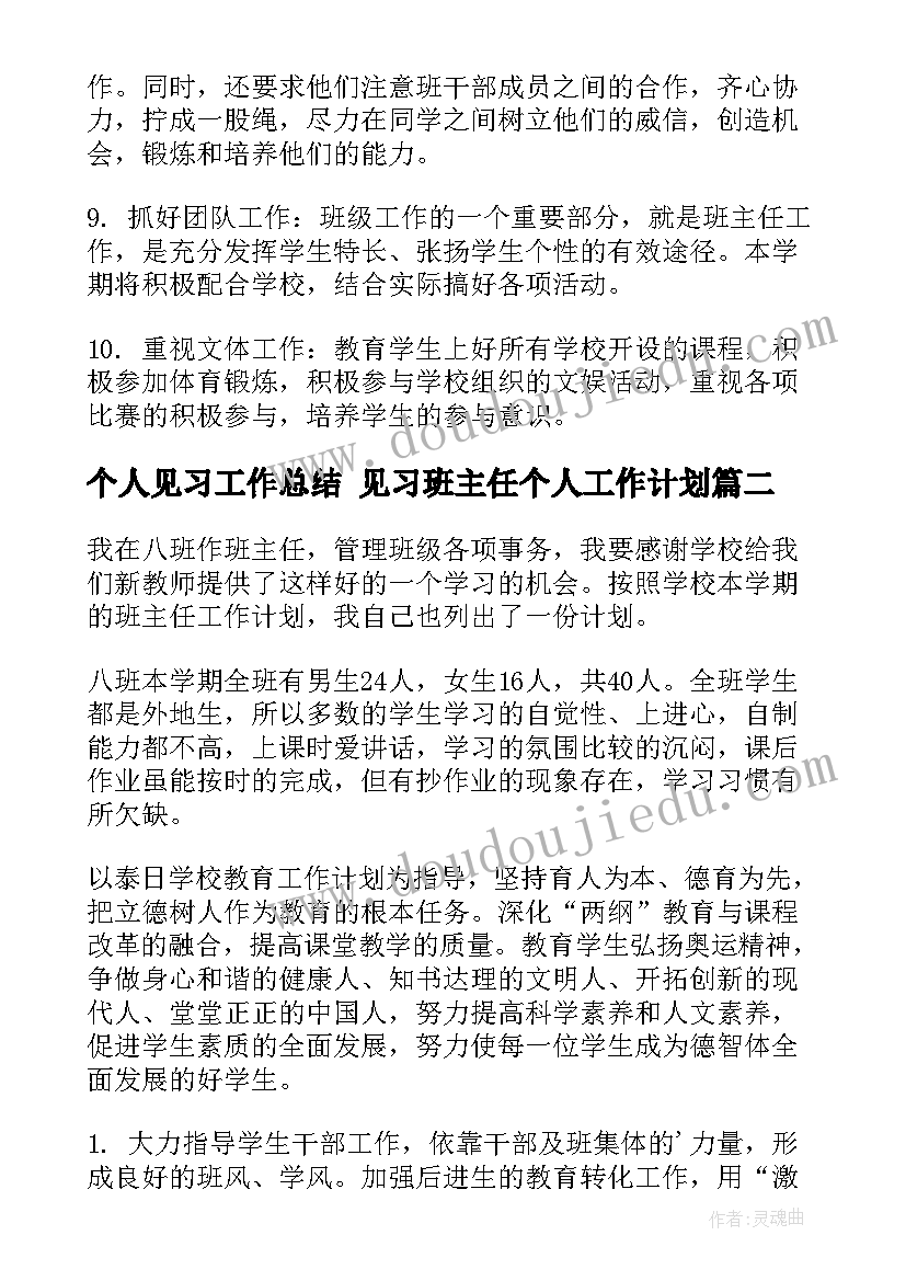 2023年个人见习工作总结 见习班主任个人工作计划(优秀5篇)