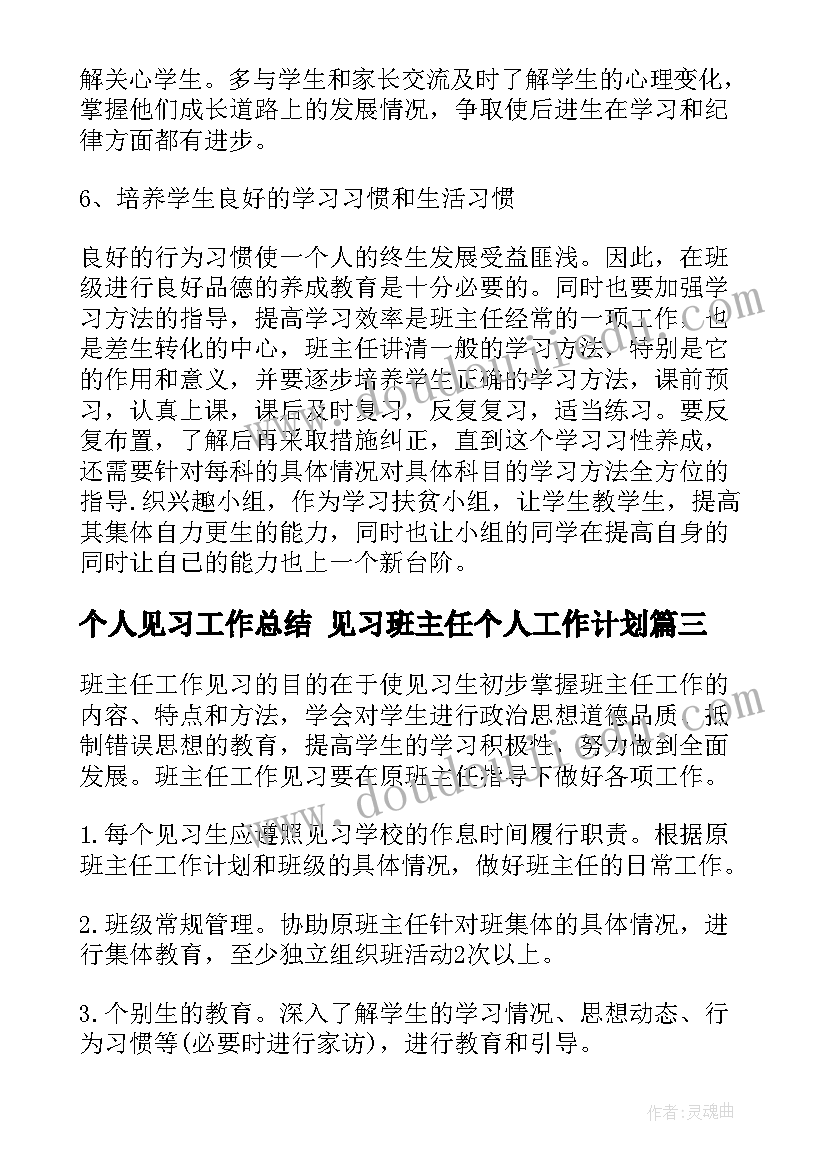 2023年个人见习工作总结 见习班主任个人工作计划(优秀5篇)