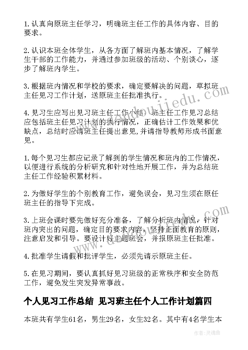 2023年个人见习工作总结 见习班主任个人工作计划(优秀5篇)