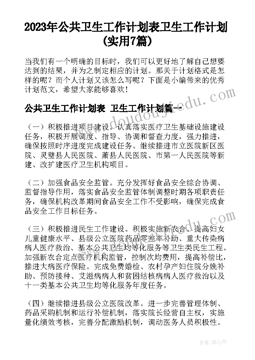 2023年公共卫生工作计划表 卫生工作计划(实用7篇)