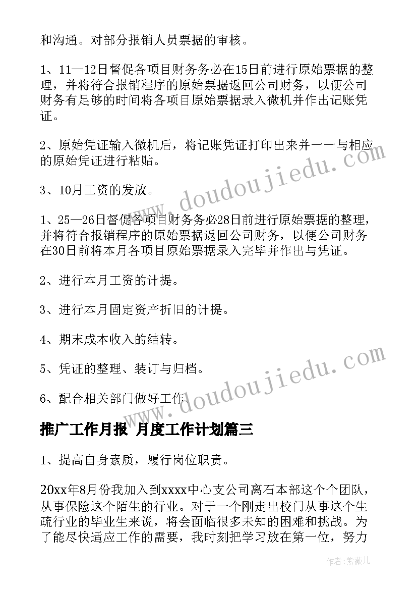 2023年推广工作月报 月度工作计划(优秀5篇)