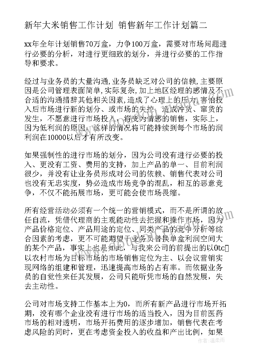 2023年新年大米销售工作计划 销售新年工作计划(通用5篇)