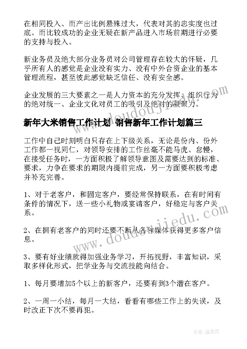 2023年新年大米销售工作计划 销售新年工作计划(通用5篇)