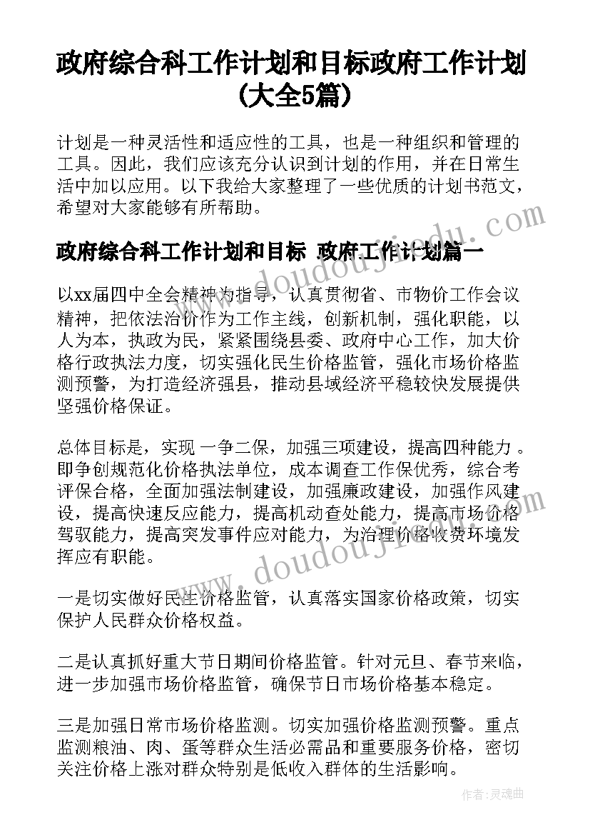 政府综合科工作计划和目标 政府工作计划(大全5篇)