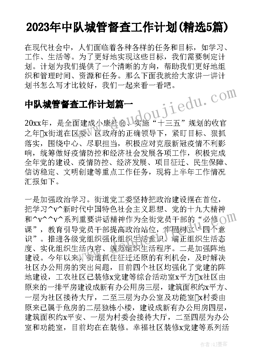 2023年中队城管督查工作计划(精选5篇)