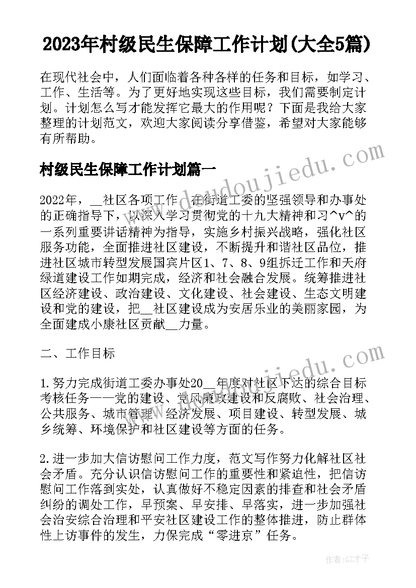 2023年村级民生保障工作计划(大全5篇)