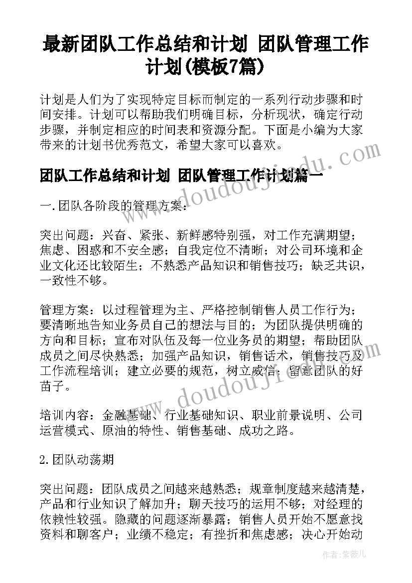 最新团队工作总结和计划 团队管理工作计划(模板7篇)