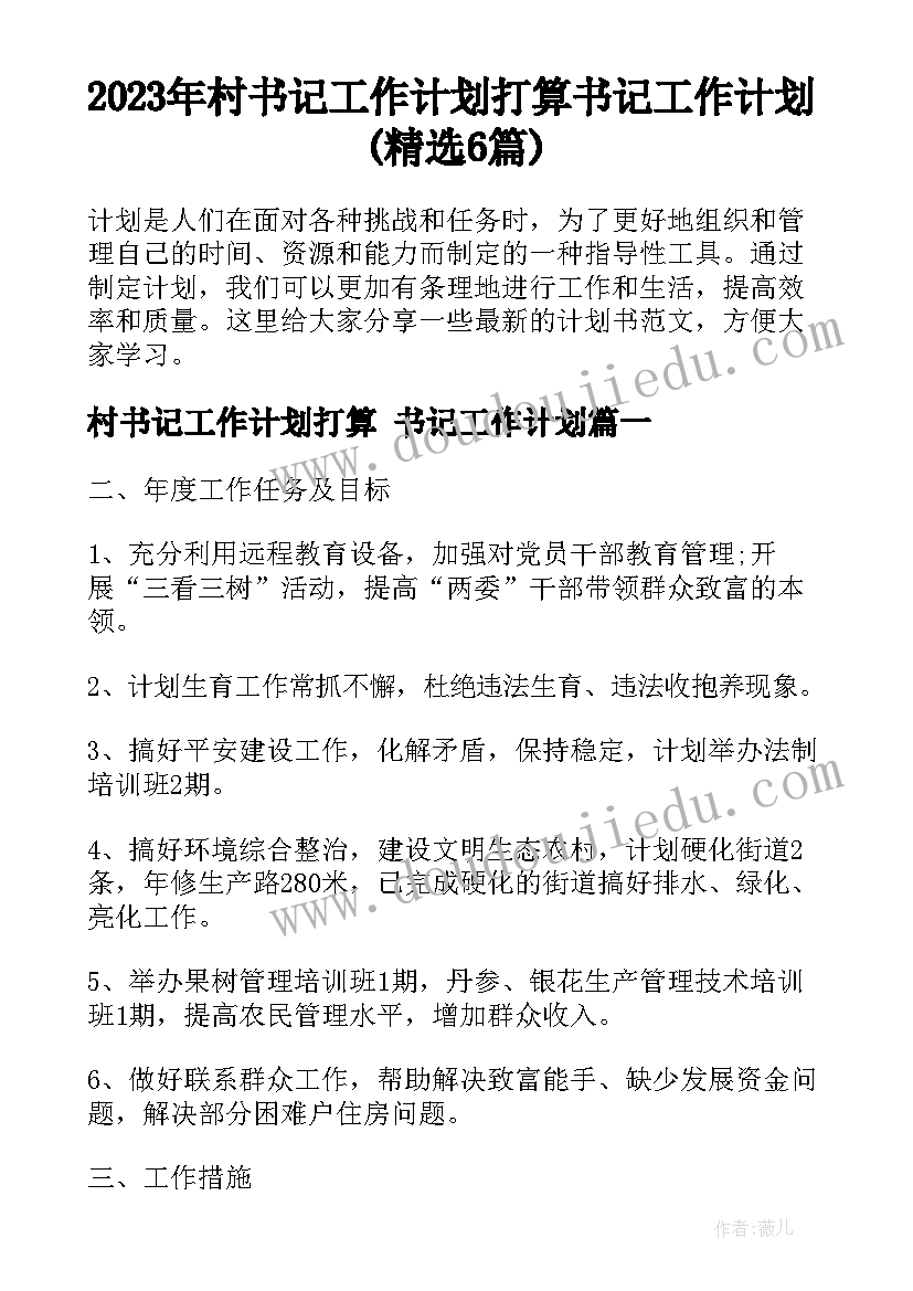 2023年村书记工作计划打算 书记工作计划(精选6篇)