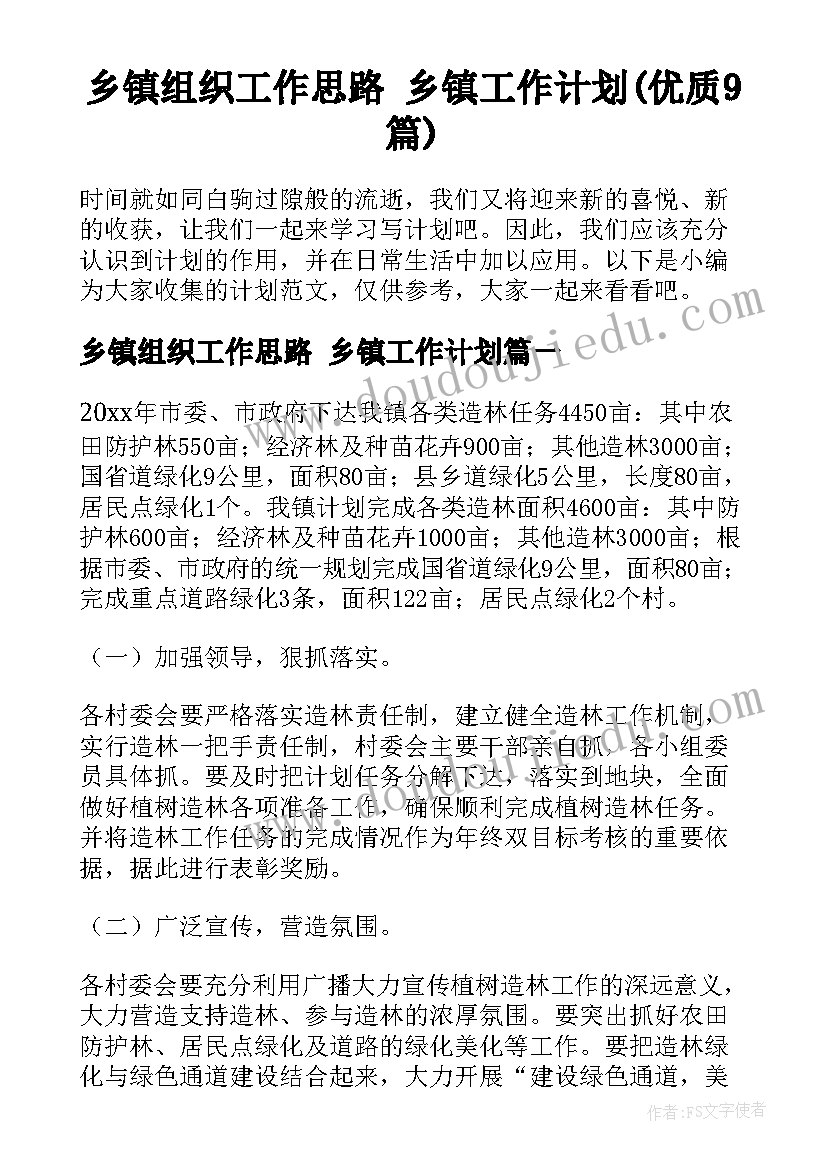 乡镇组织工作思路 乡镇工作计划(优质9篇)