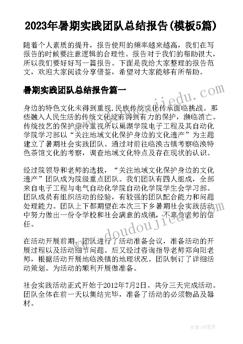 2023年暑期实践团队总结报告(模板5篇)