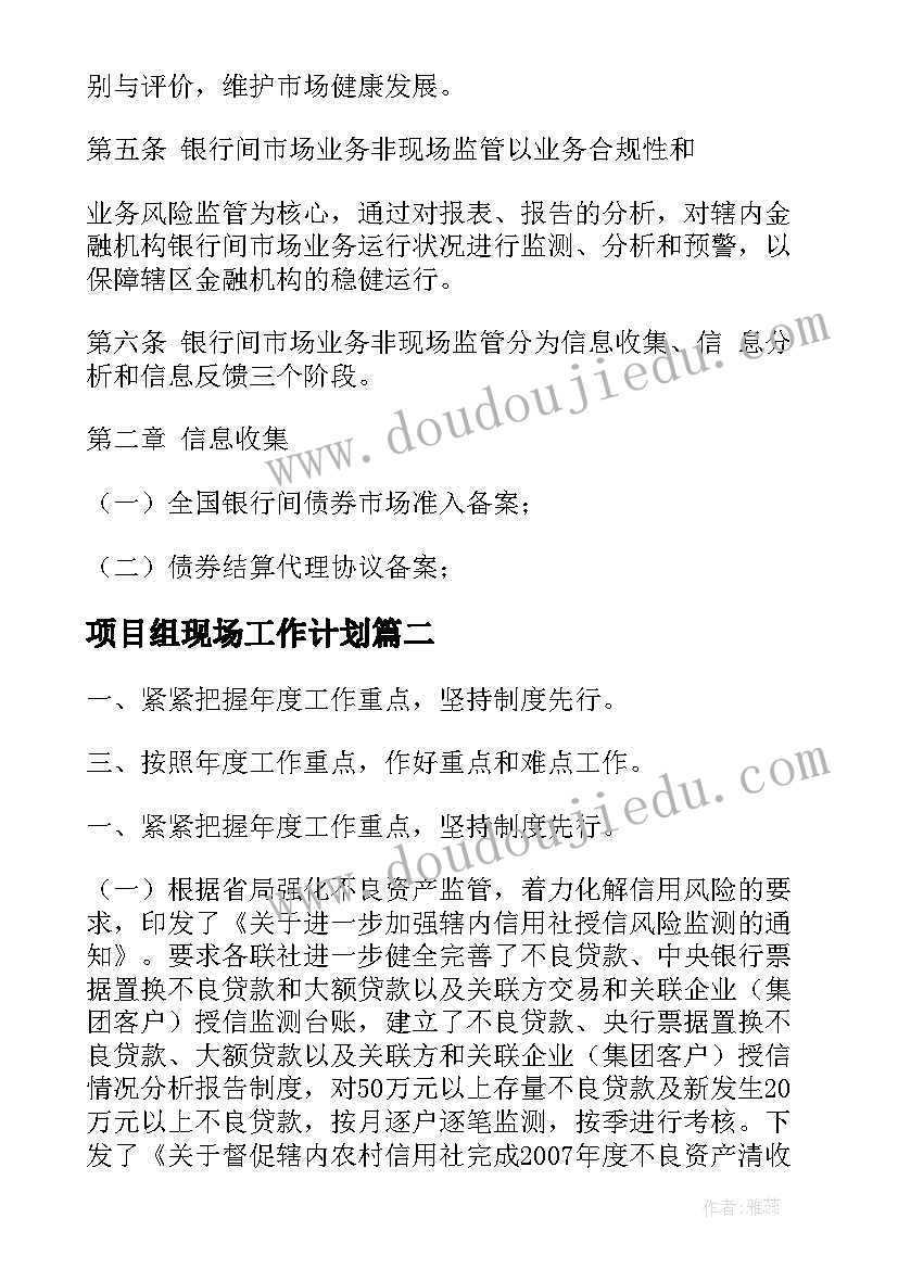 2023年项目组现场工作计划(汇总6篇)