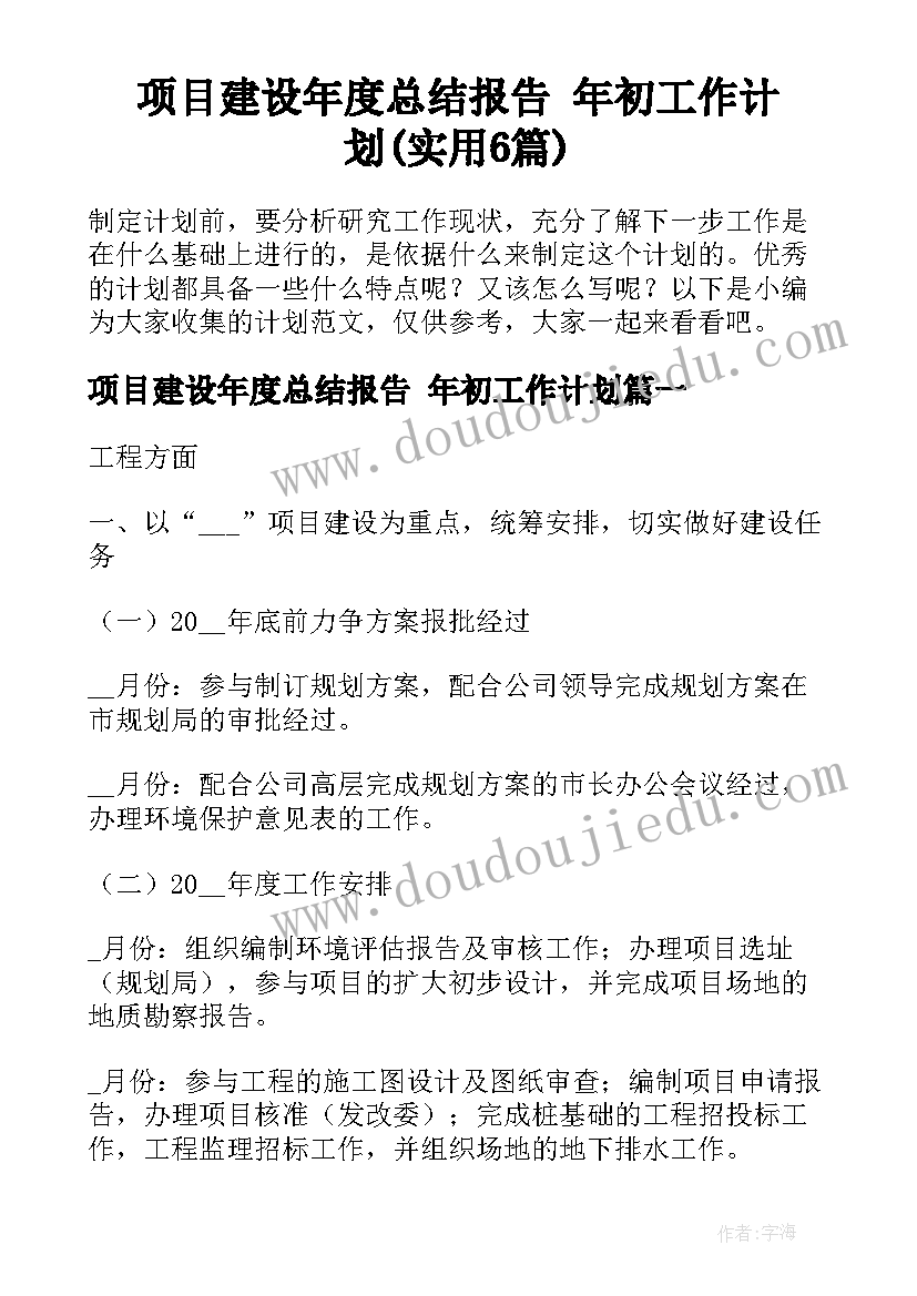 项目建设年度总结报告 年初工作计划(实用6篇)