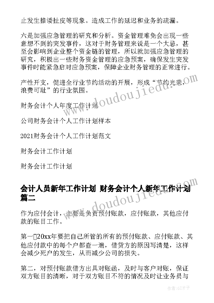 最新会计人员新年工作计划 财务会计个人新年工作计划(模板10篇)