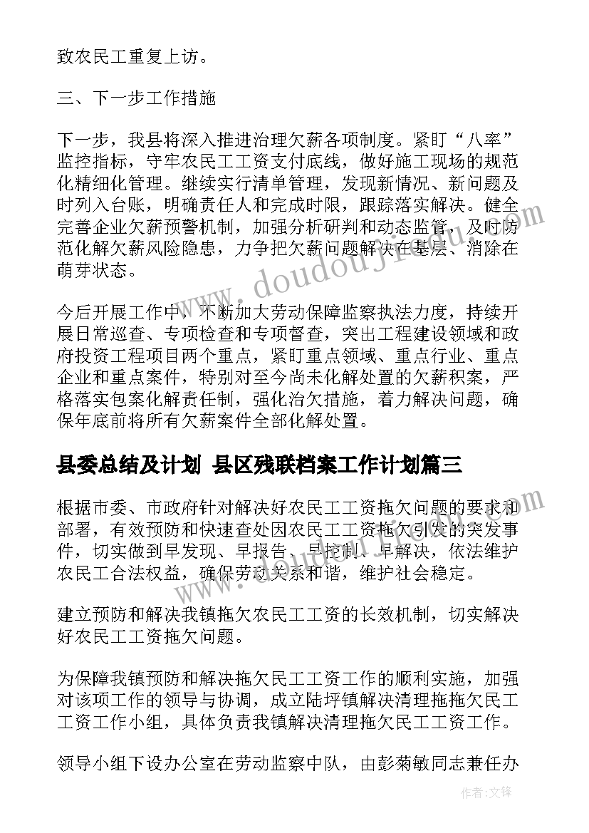 2023年县委总结及计划 县区残联档案工作计划(模板8篇)