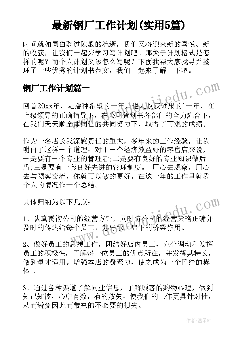 最新钢厂工作计划(实用5篇)