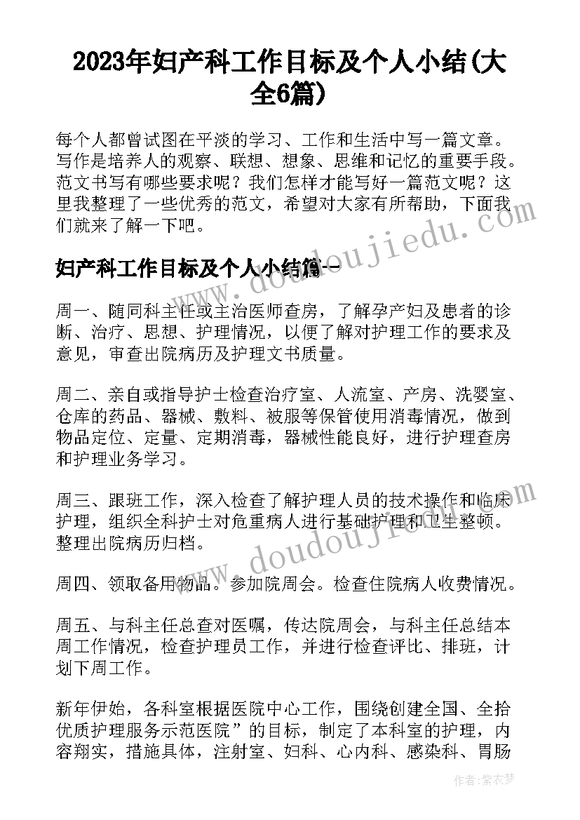 2023年妇产科工作目标及个人小结(大全6篇)