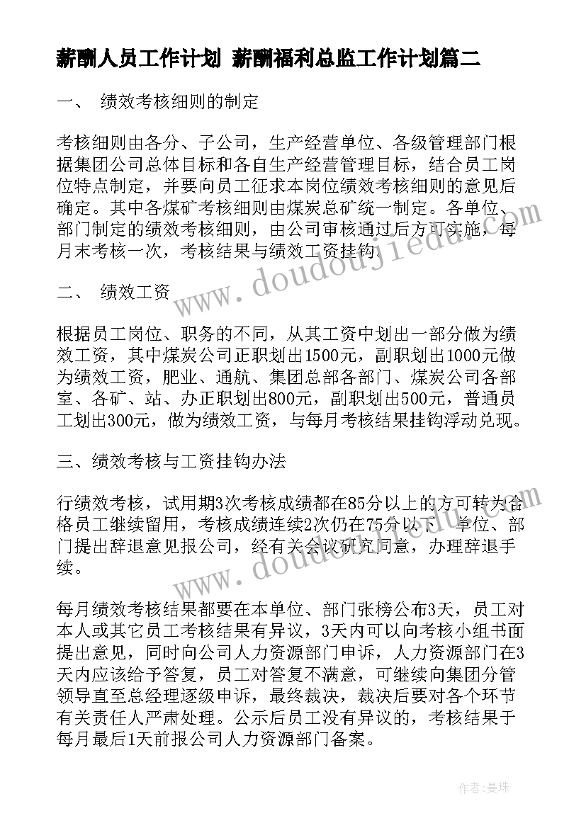 2023年薪酬人员工作计划 薪酬福利总监工作计划(模板5篇)