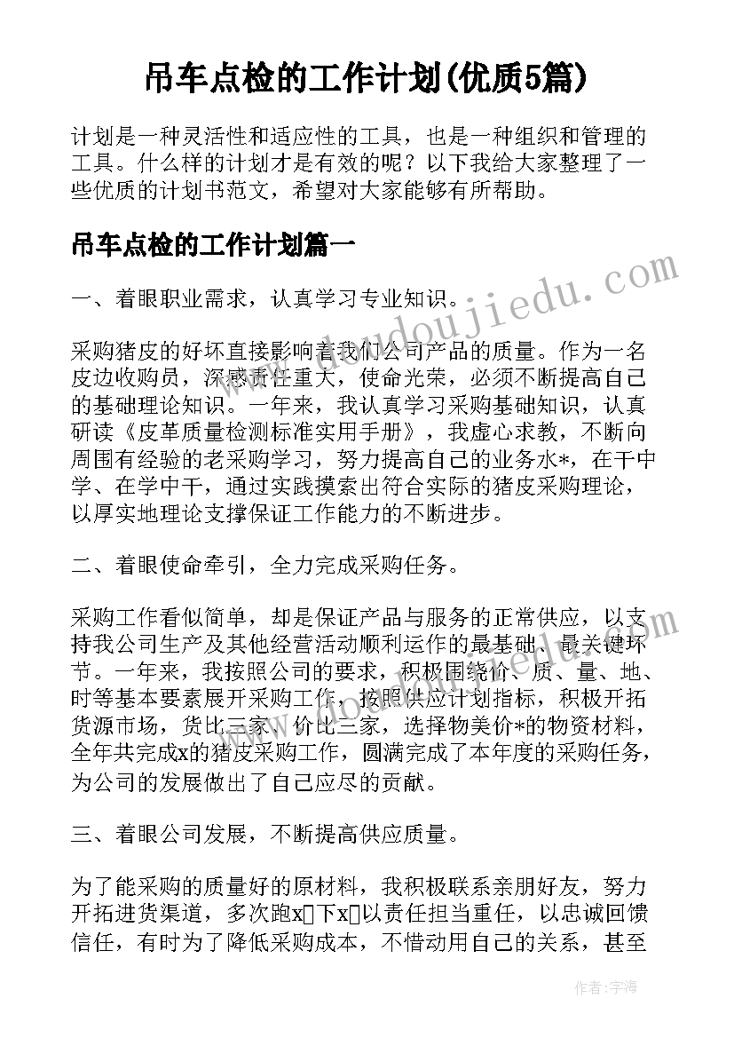 吊车点检的工作计划(优质5篇)