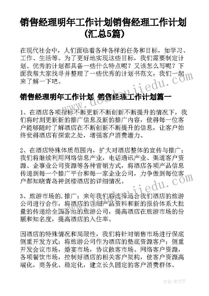 销售经理明年工作计划 销售经理工作计划(汇总5篇)