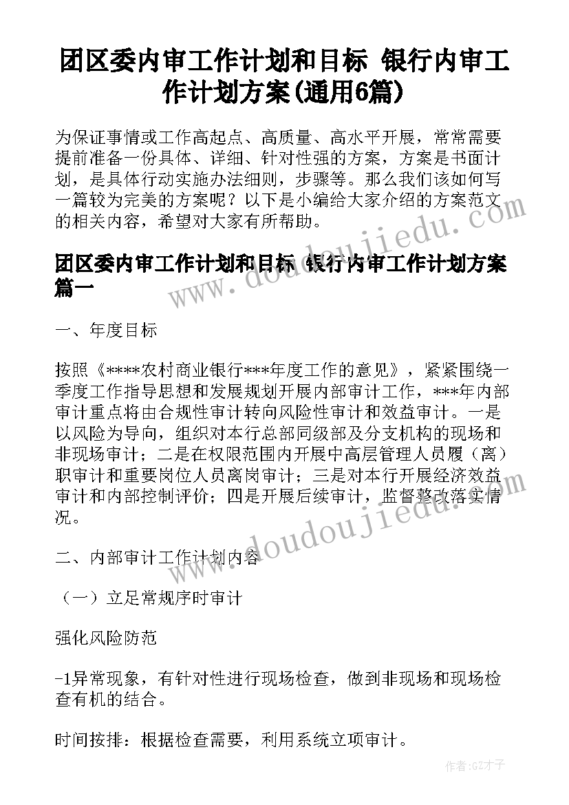 团区委内审工作计划和目标 银行内审工作计划方案(通用6篇)