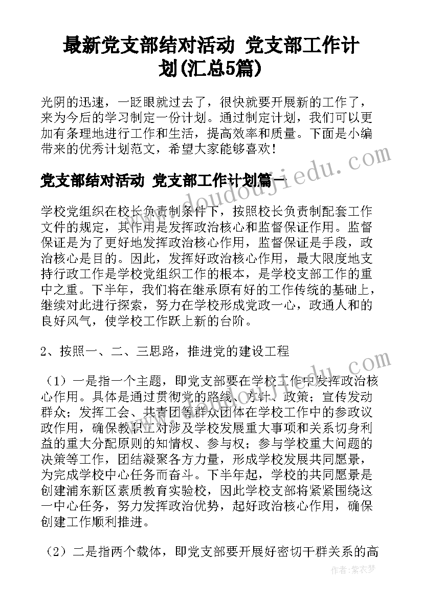 最新党支部结对活动 党支部工作计划(汇总5篇)