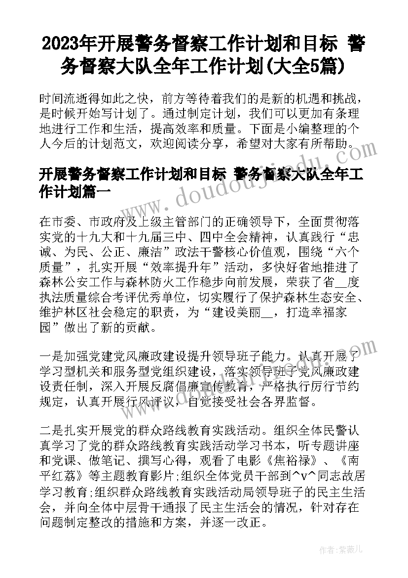 2023年开展警务督察工作计划和目标 警务督察大队全年工作计划(大全5篇)