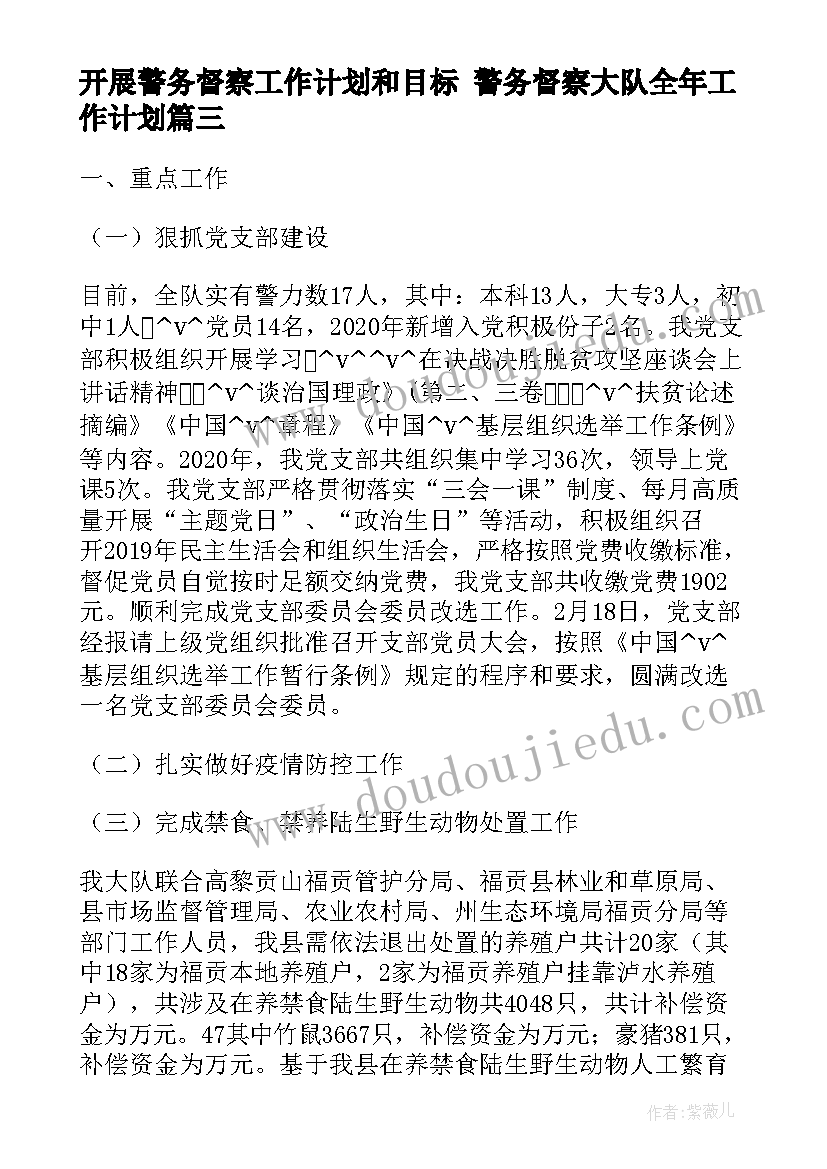 2023年开展警务督察工作计划和目标 警务督察大队全年工作计划(大全5篇)