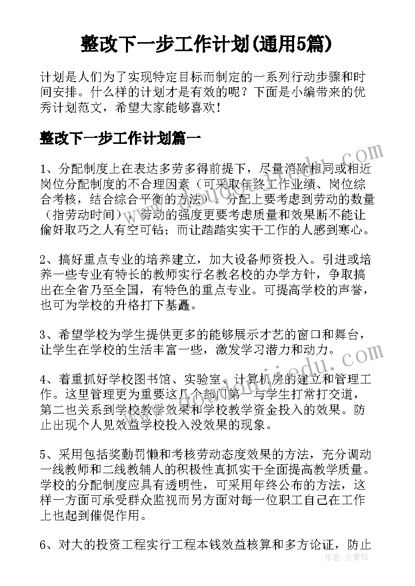 整改下一步工作计划(通用5篇)