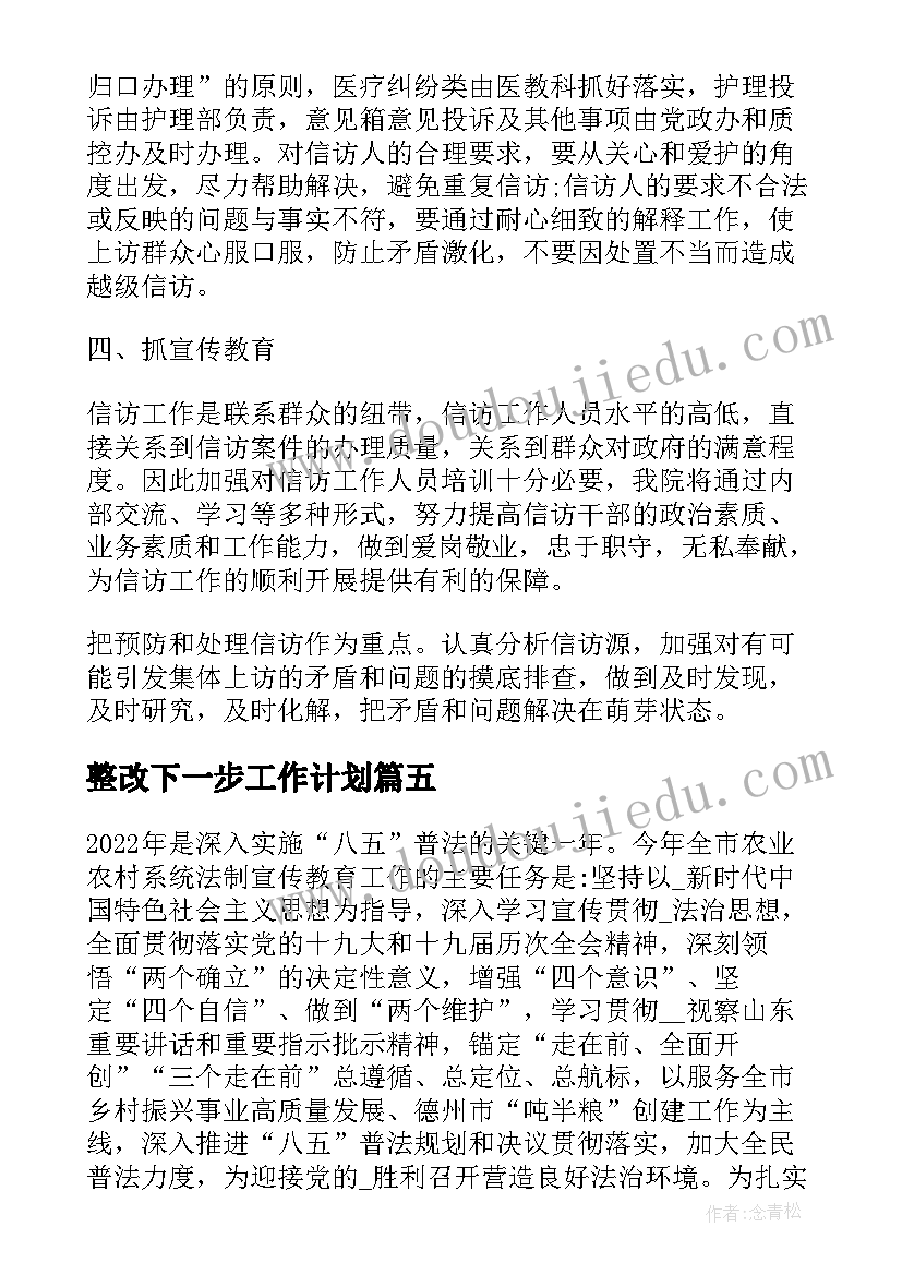 整改下一步工作计划(通用5篇)