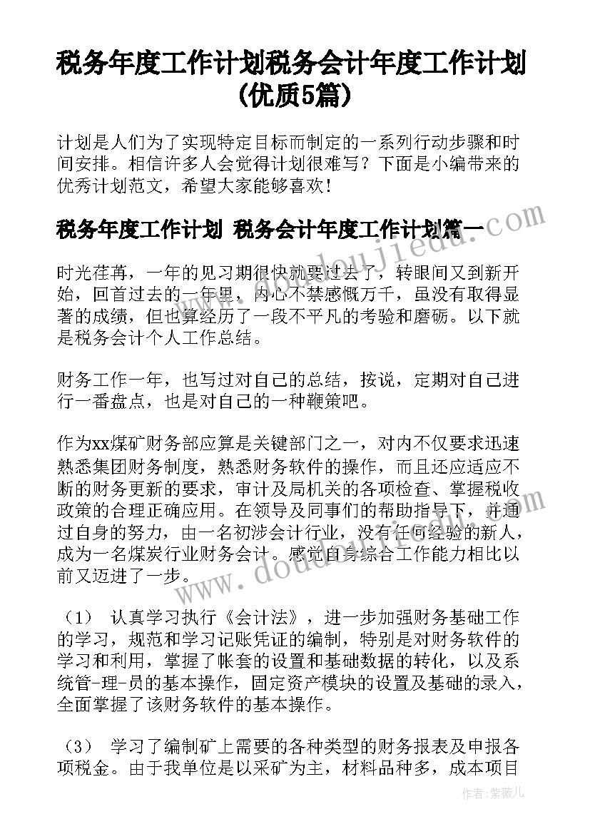 税务年度工作计划 税务会计年度工作计划(优质5篇)