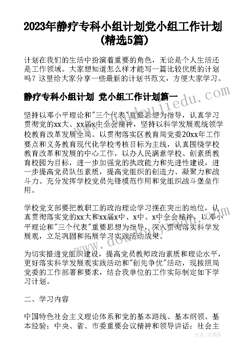 2023年静疗专科小组计划 党小组工作计划(精选5篇)