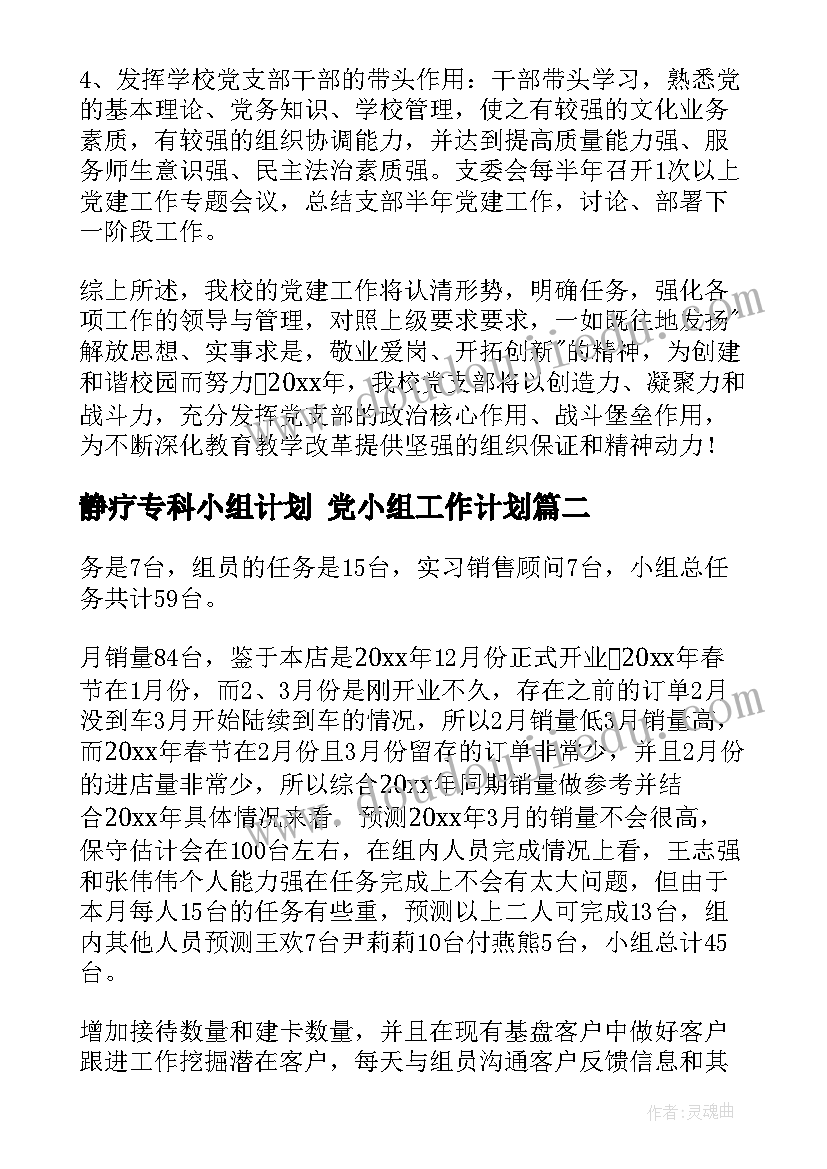 2023年静疗专科小组计划 党小组工作计划(精选5篇)