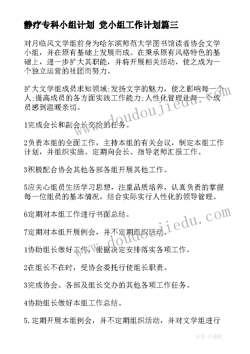 2023年静疗专科小组计划 党小组工作计划(精选5篇)