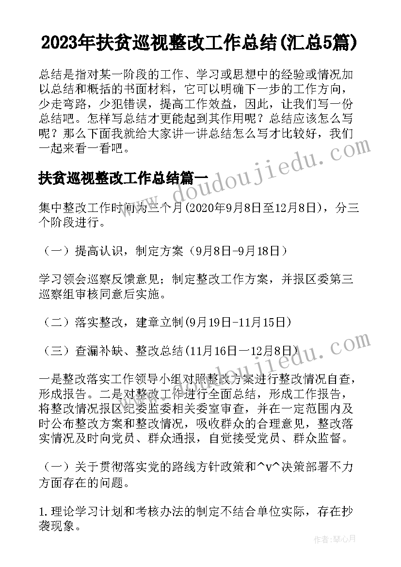 2023年扶贫巡视整改工作总结(汇总5篇)