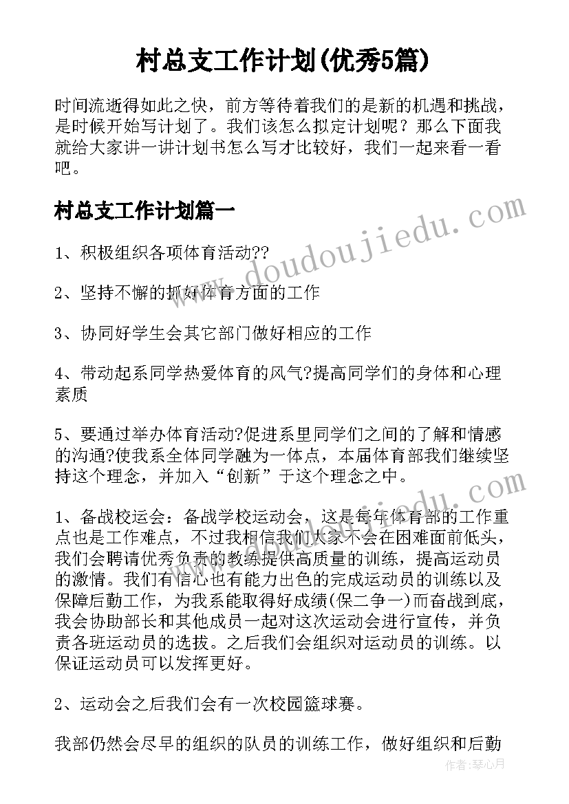 村总支工作计划(优秀5篇)