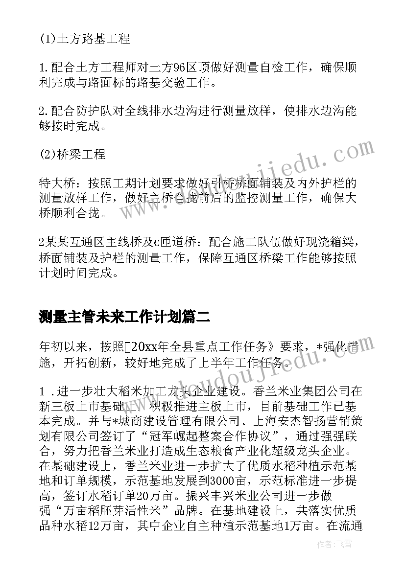 最新测量主管未来工作计划(精选6篇)