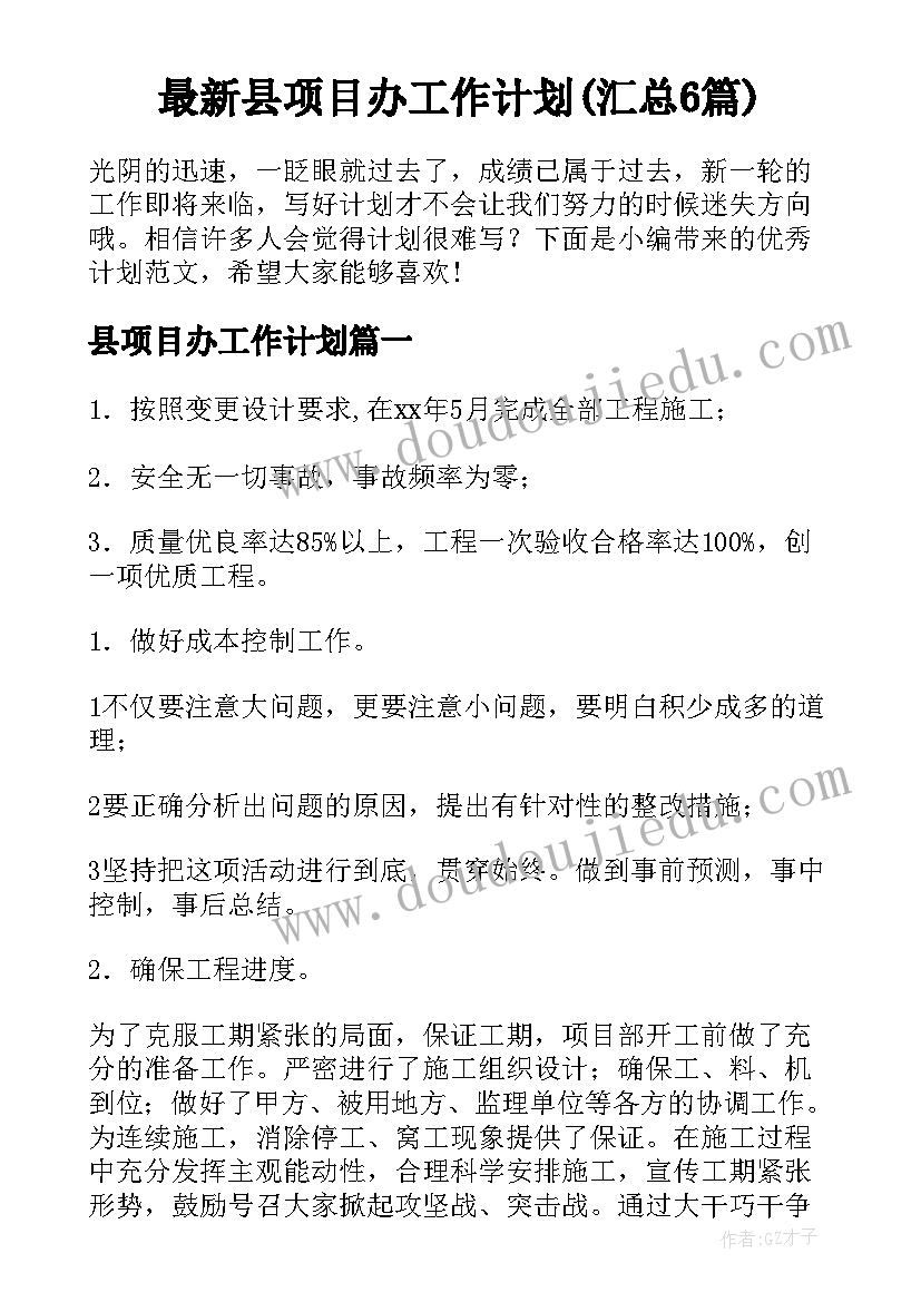 最新县项目办工作计划(汇总6篇)