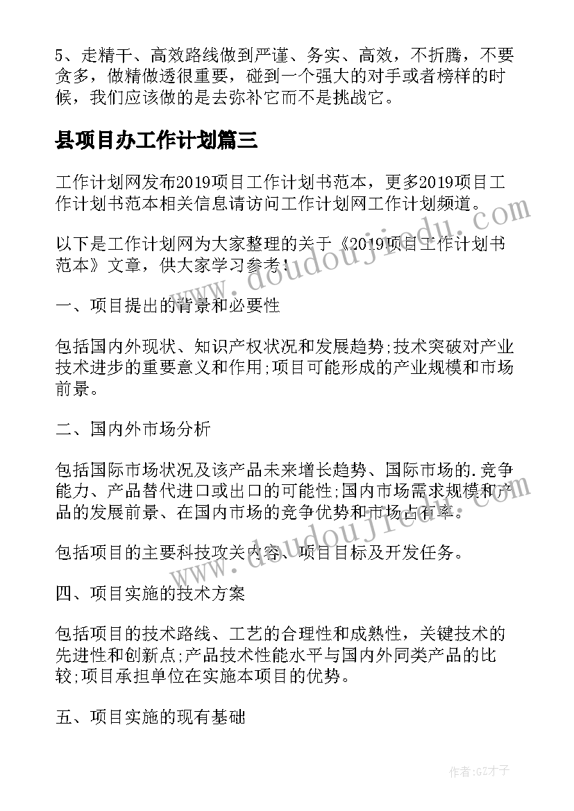 最新县项目办工作计划(汇总6篇)