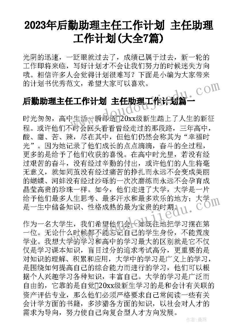 2023年后勤助理主任工作计划 主任助理工作计划(大全7篇)