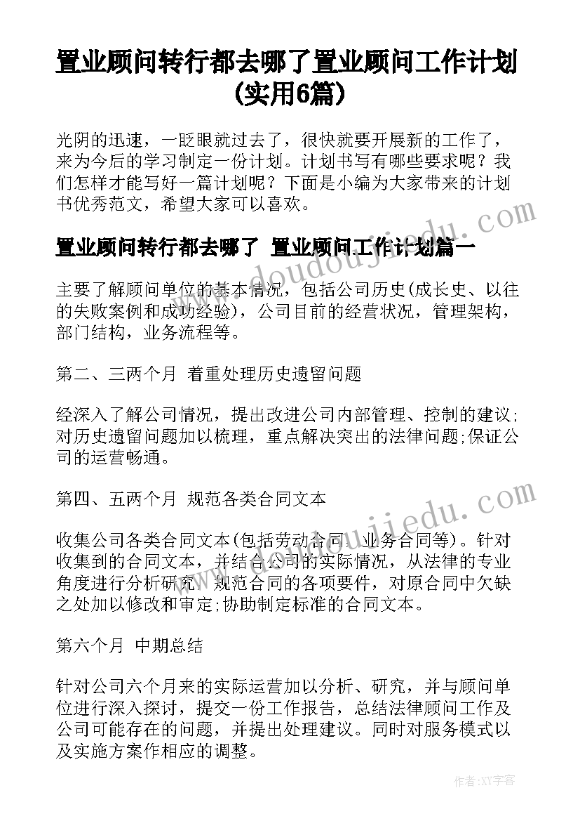 置业顾问转行都去哪了 置业顾问工作计划(实用6篇)