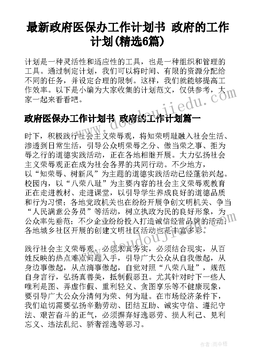 最新政府医保办工作计划书 政府的工作计划(精选6篇)