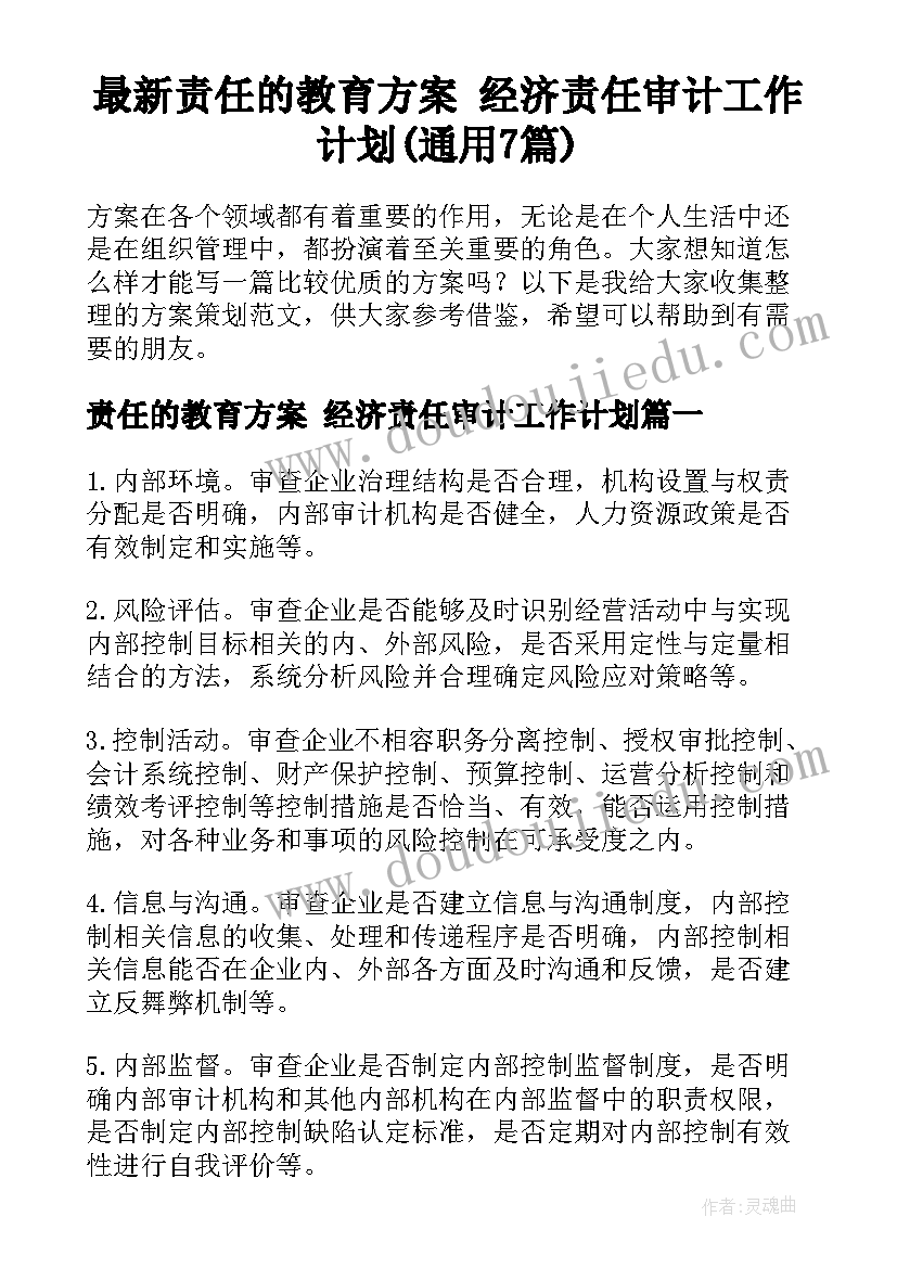 最新责任的教育方案 经济责任审计工作计划(通用7篇)