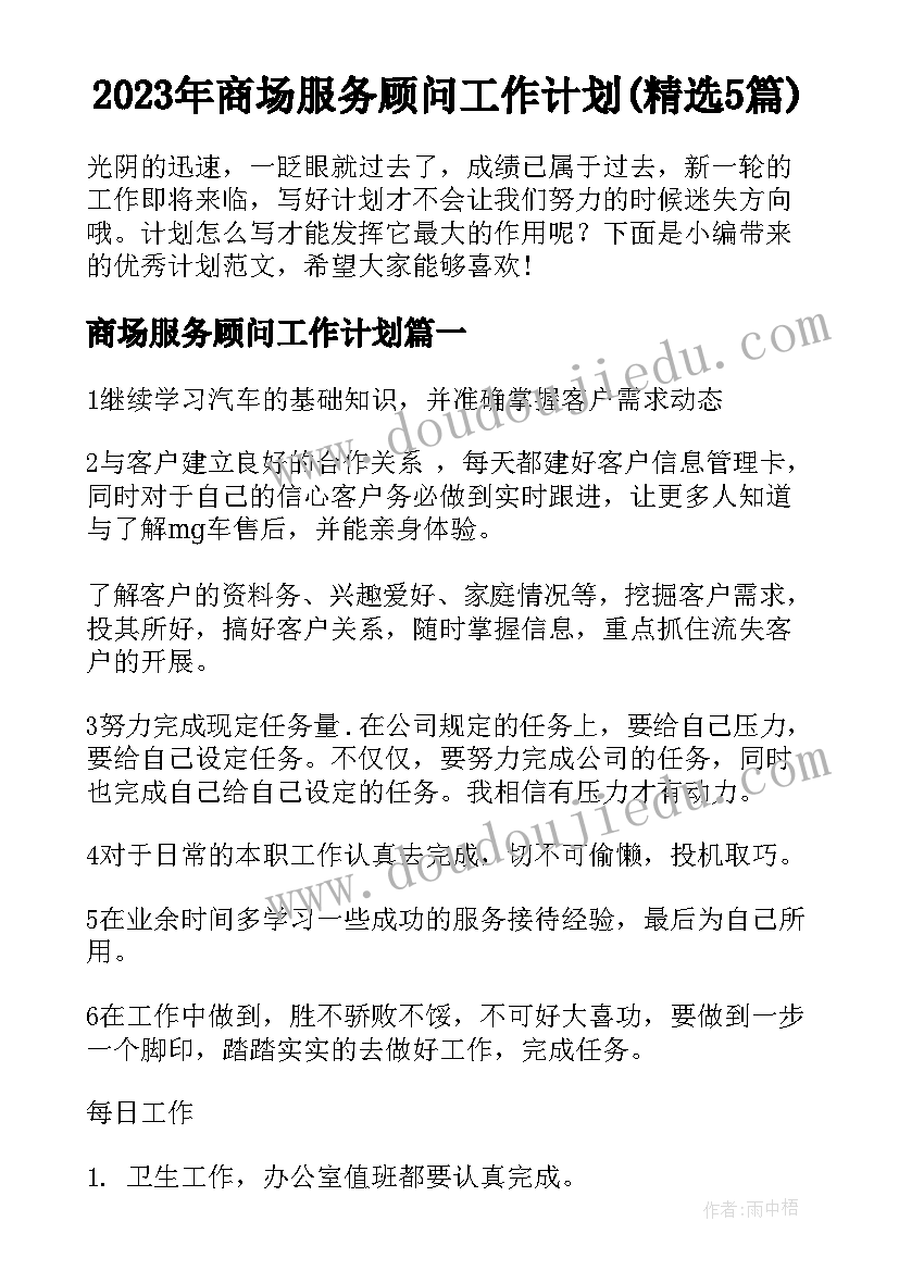 2023年商场服务顾问工作计划(精选5篇)