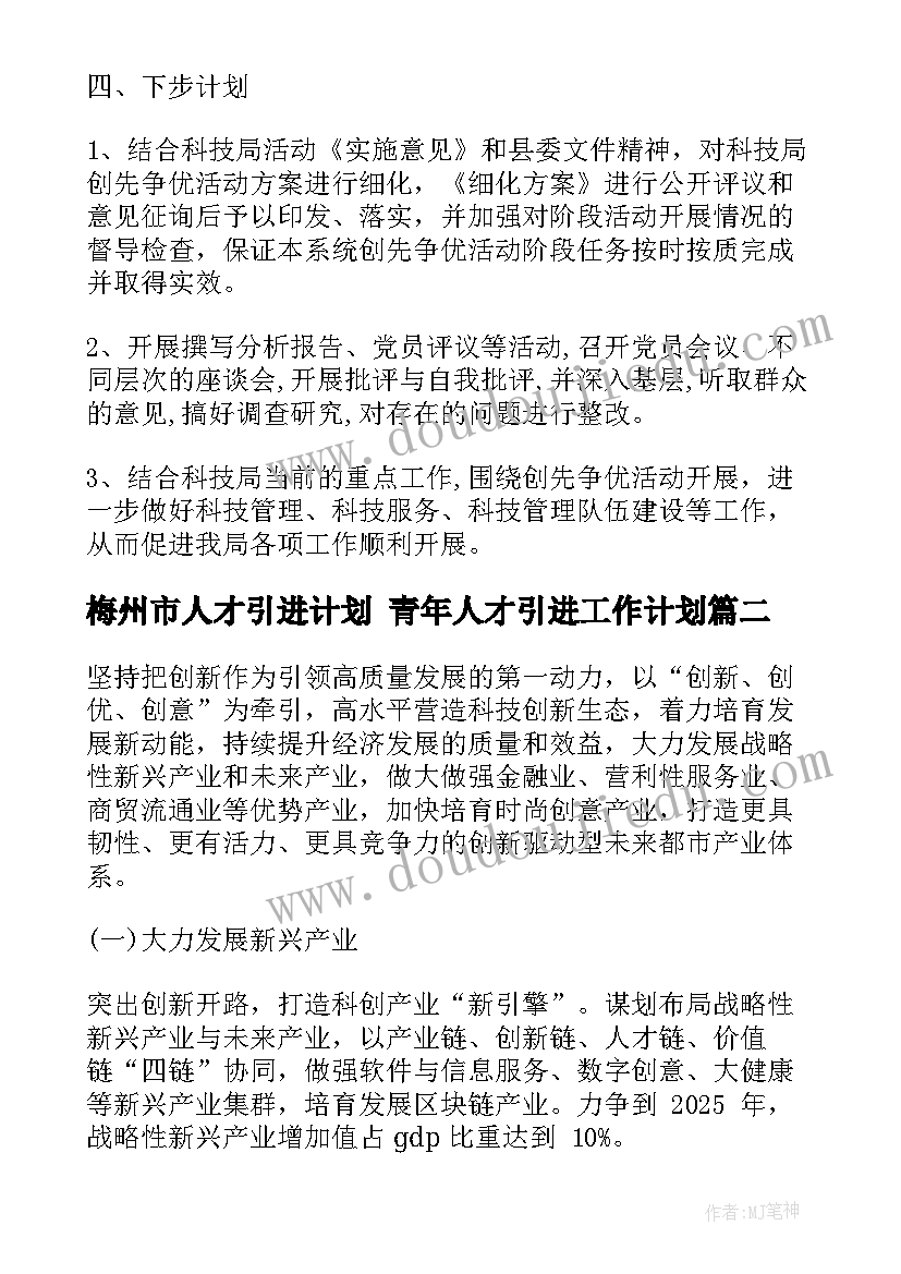 梅州市人才引进计划 青年人才引进工作计划(实用5篇)