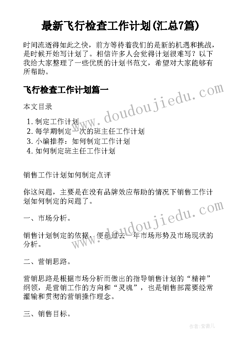 最新飞行检查工作计划(汇总7篇)