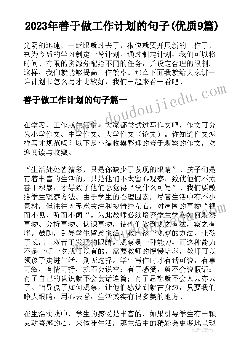 2023年善于做工作计划的句子(优质9篇)