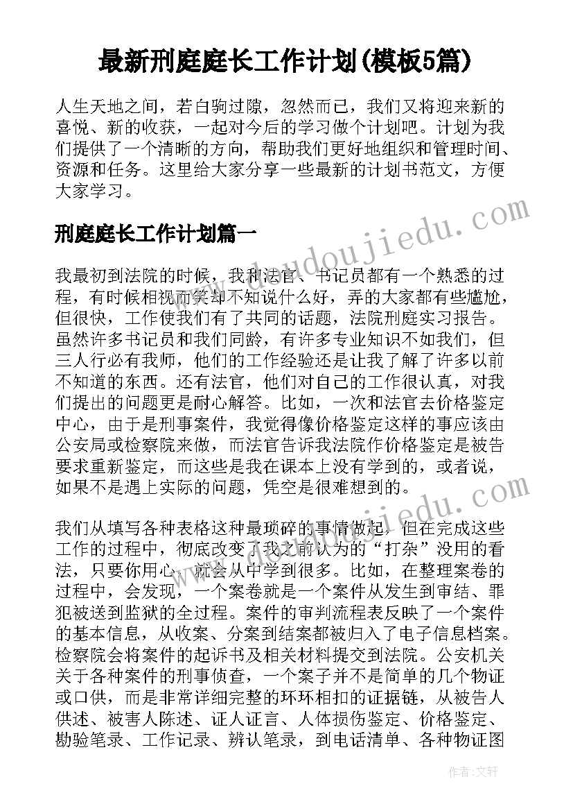 最新刑庭庭长工作计划(模板5篇)